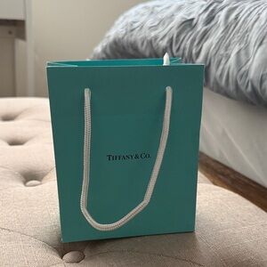 Tiffany & Co Small Bag